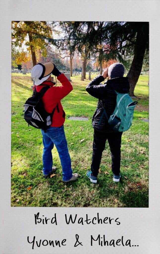 Bird-Watchers-Yvonne-Mihaela