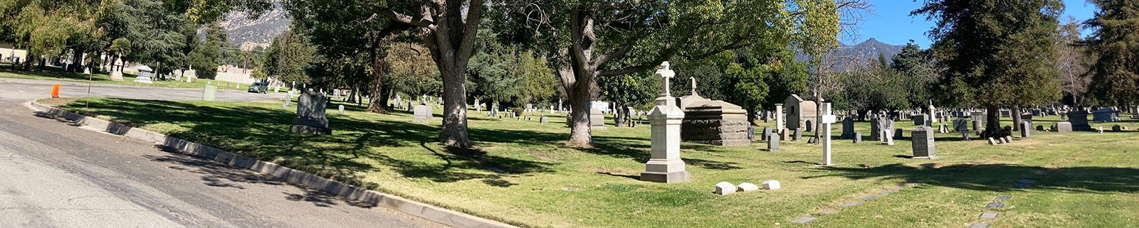 Genealogy Links Resources